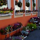 Herbstlicher Blumenschmuck...