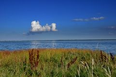 Herbstlicher Bodden