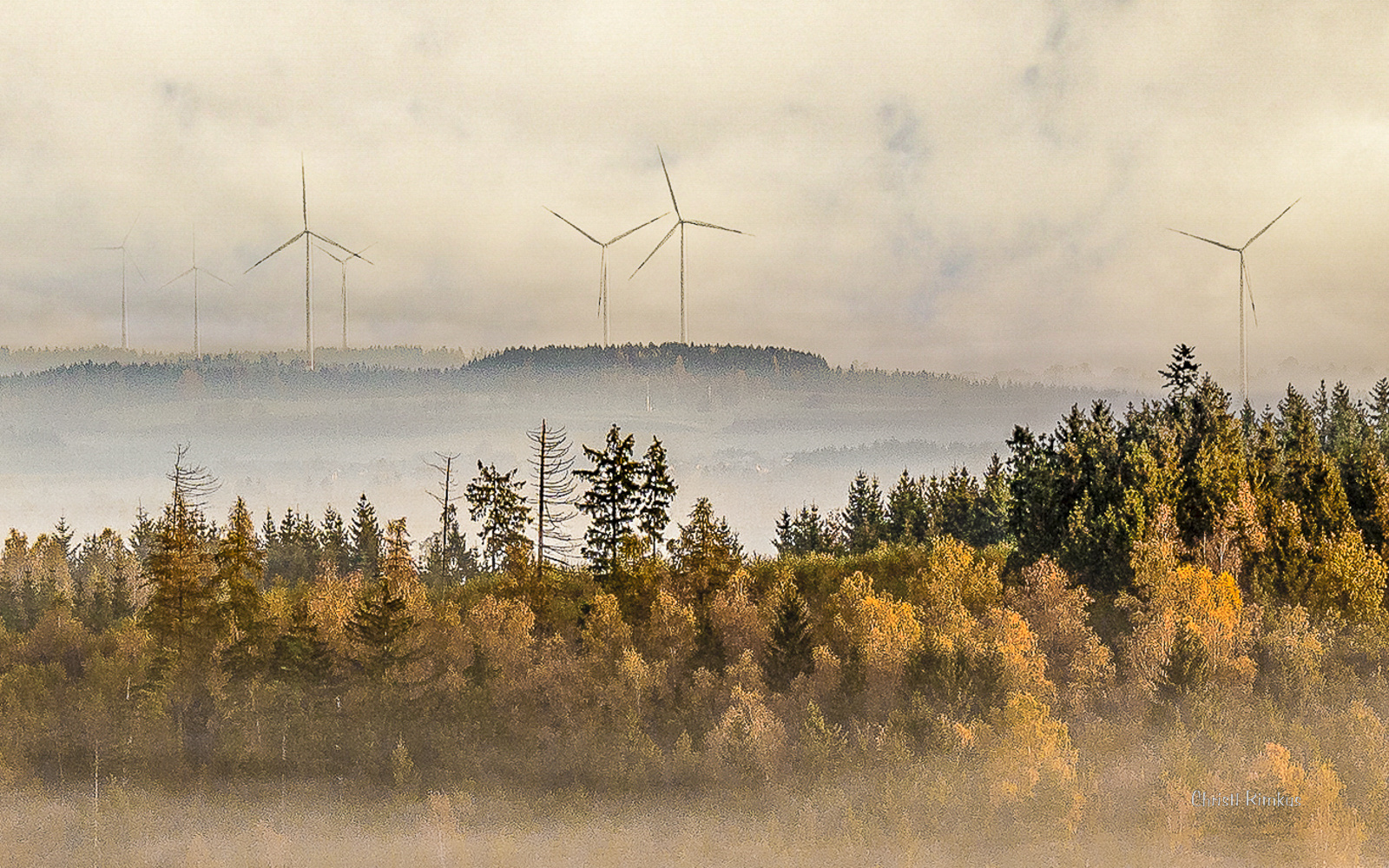 herbstlicher Bodennebel