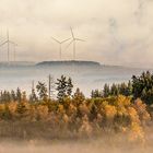 herbstlicher Bodennebel