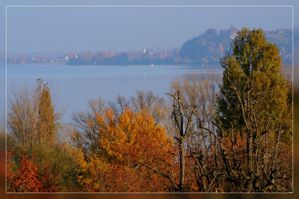 Herbstlicher Bodensee