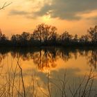 Herbstlicher Bruchsee