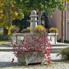 Herbstlicher Brunnen.