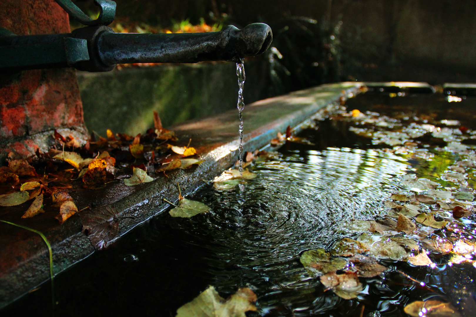 Herbstlicher Brunnen
