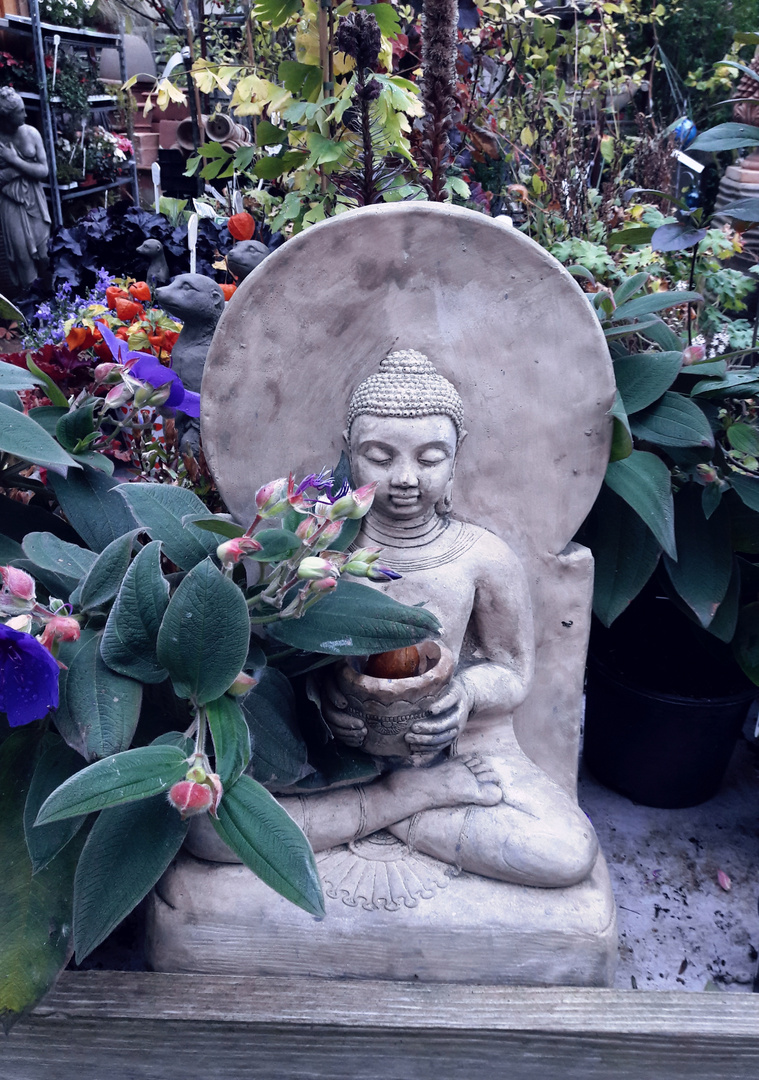  herbstlicher Buddha