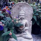  herbstlicher Buddha