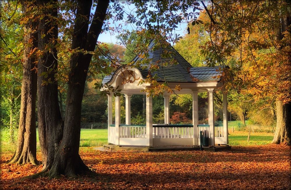 Herbstlicher Bürgerpark