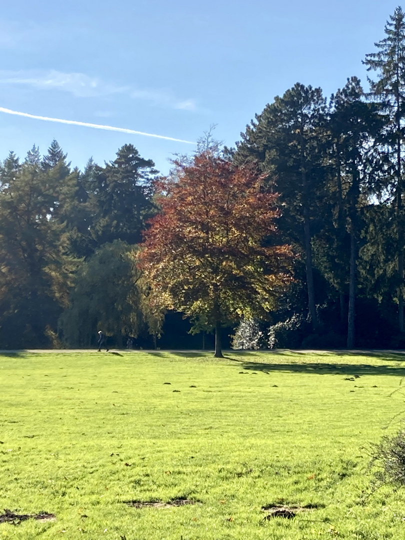 Herbstlicher Bürgerpark Bremen 