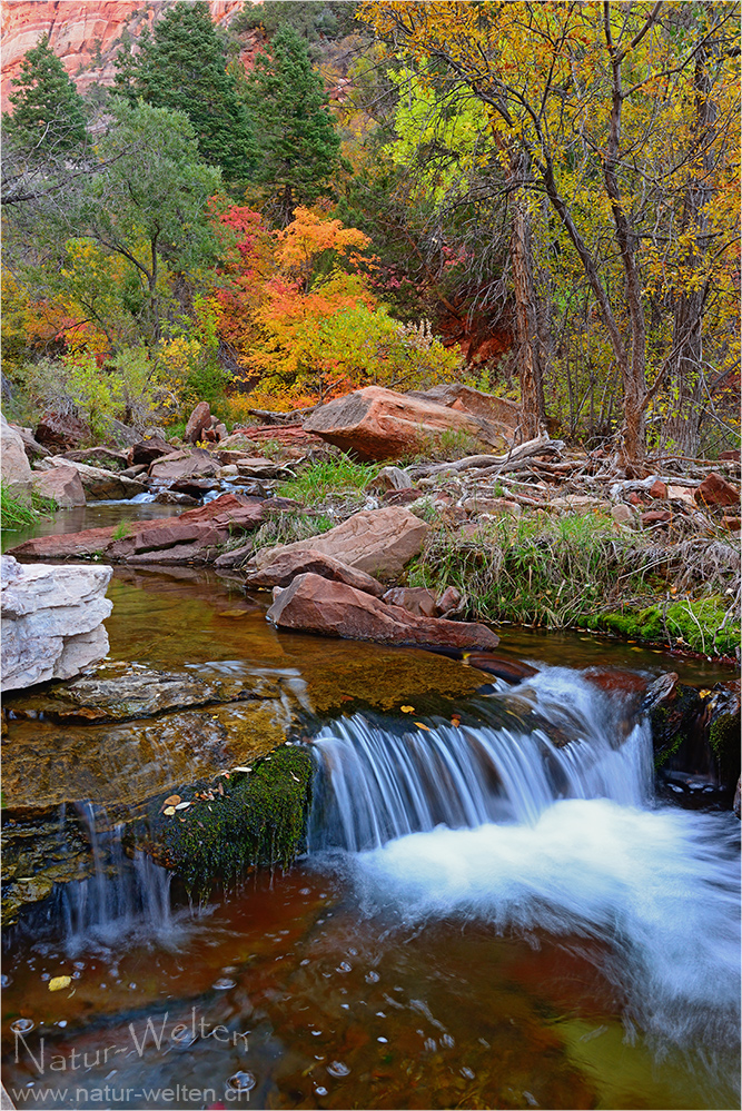 Herbstlicher Canyon