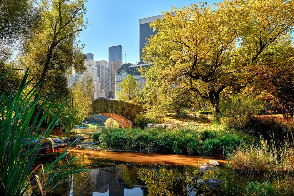 Herbstlicher Central Park