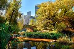 Herbstlicher Central Park