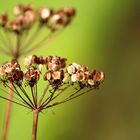 Herbstlicher Charme