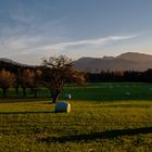 Herbstlicher Chiemgau