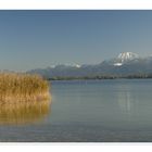 Herbstlicher Chiemsee