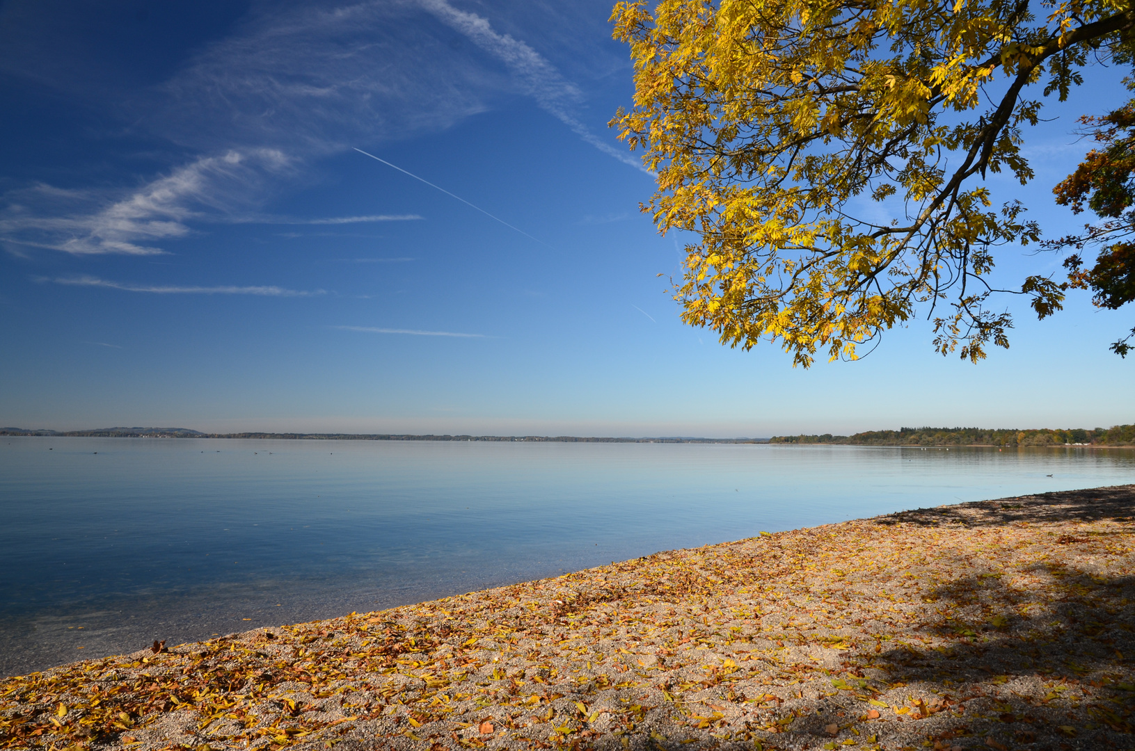 herbstlicher Chiemsee