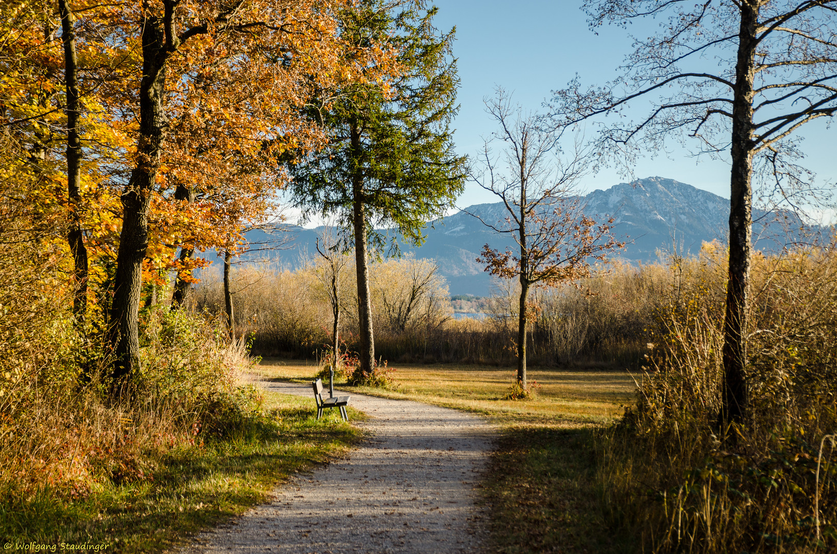 Herbstlicher Chiemseeuferweg (2)