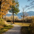 Herbstlicher Chiemseeuferweg (2)