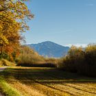 Herbstlicher Chiemseeuferweg