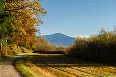 Herbstlicher Chiemseeuferweg