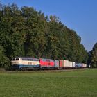 Herbstlicher Containerzug im Dieselparadies