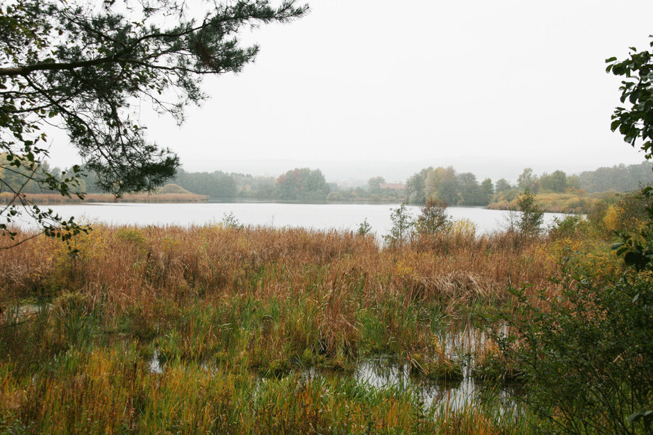 herbstlicher Craimoosweiher in Oberfranken