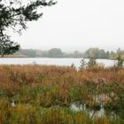 herbstlicher Craimoosweiher in Oberfranken