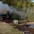 Herbstlicher Dampfbetrieb im Valea Vaserului