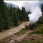 Herbstlicher Dampfbetrieb im Valea Vaserului – IV