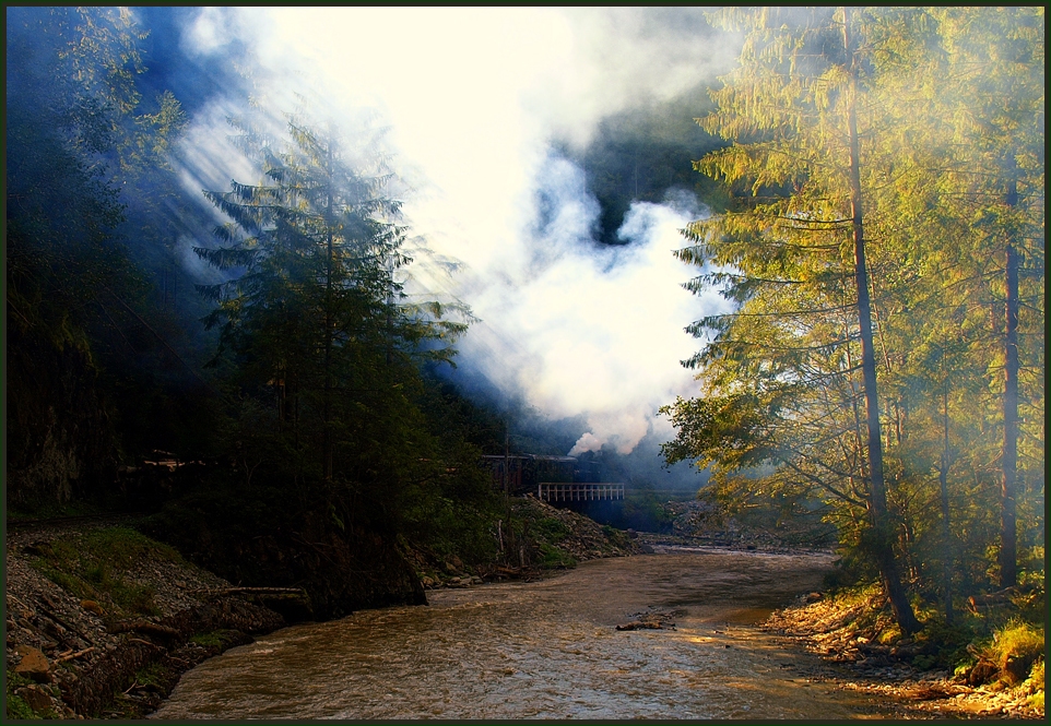 Herbstlicher Dampfbetrieb im Valea Vaserului – V