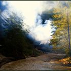 Herbstlicher Dampfbetrieb im Valea Vaserului – V