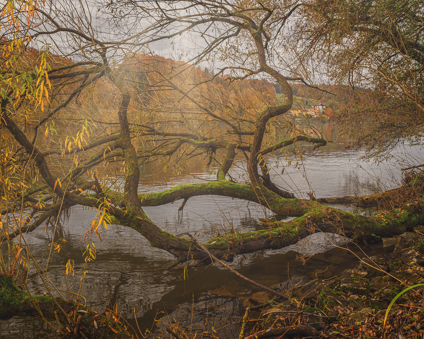 Herbstlicher Donaublick