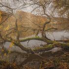 Herbstlicher Donaublick