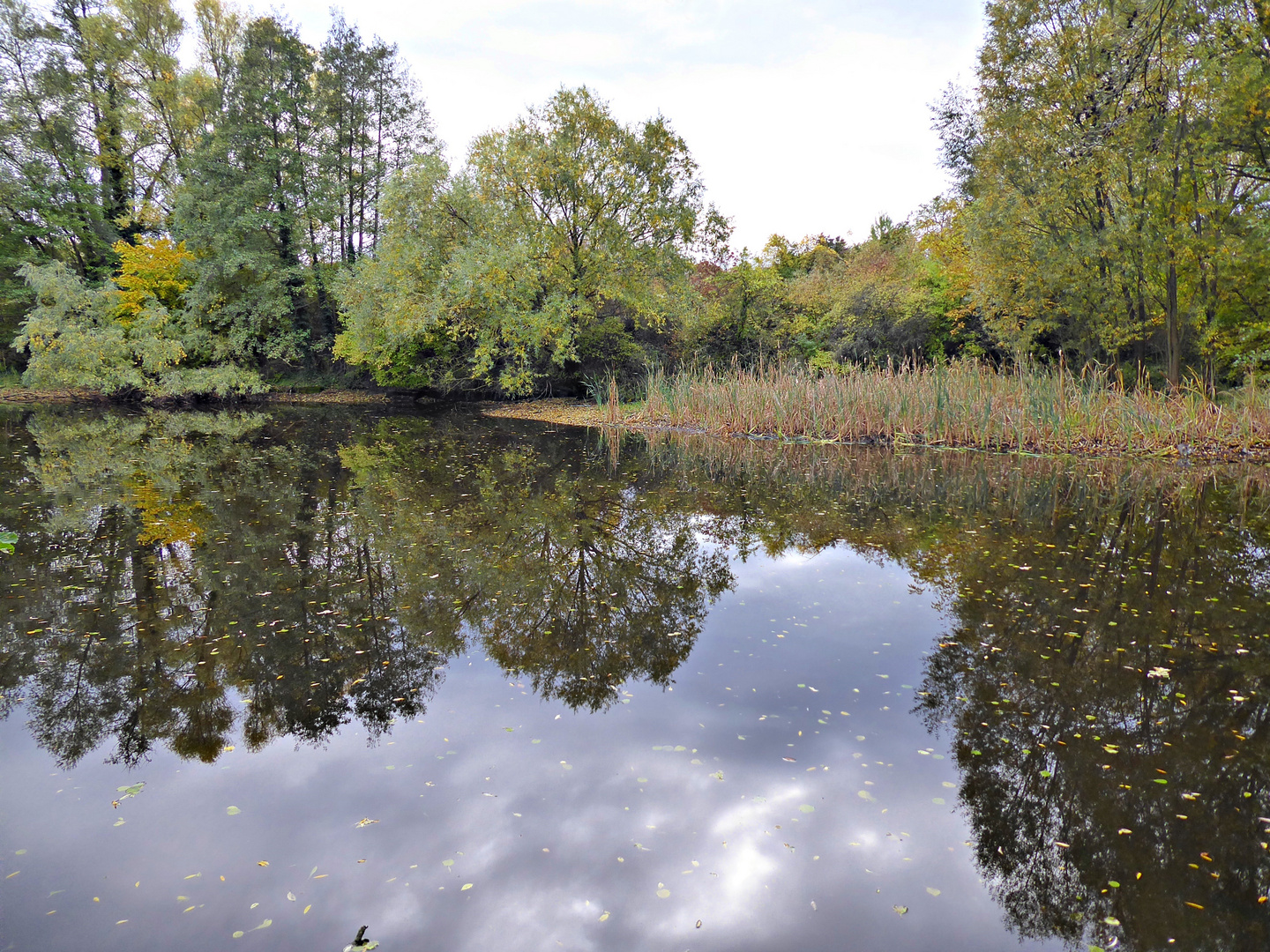 herbstlicher Dorfteich