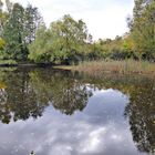 herbstlicher Dorfteich