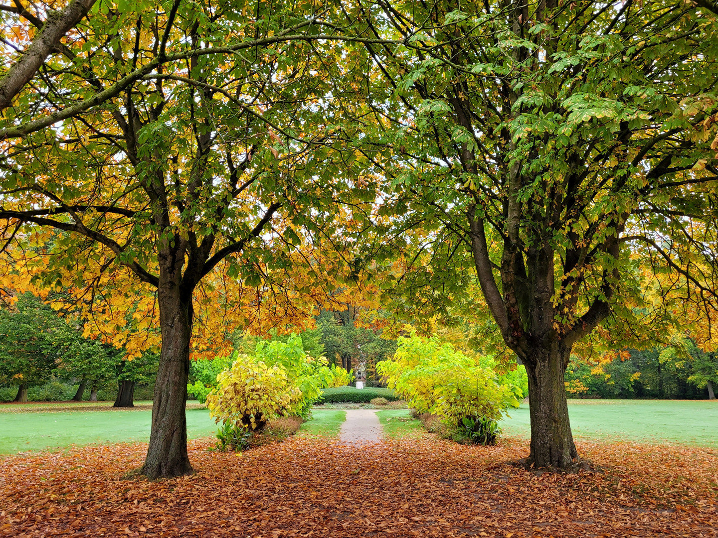 Herbstlicher Durchblick (2)