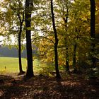 Herbstlicher Durchblick