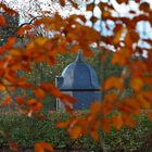 Herbstlicher Durchblick...