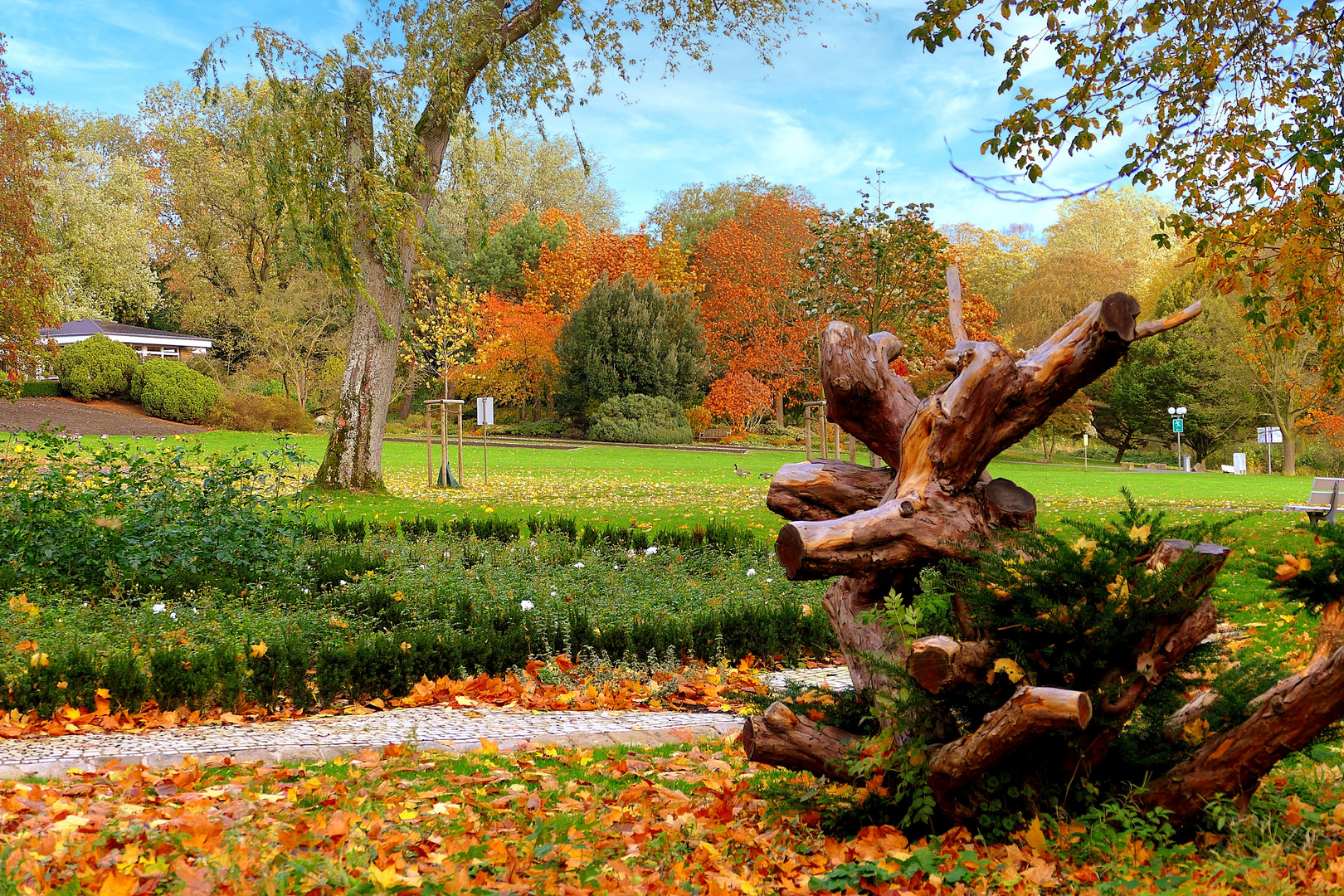 Herbstlicher Durchblick . . .