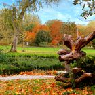 Herbstlicher Durchblick . . .