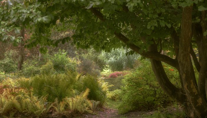 herbstlicher Durchblick ...