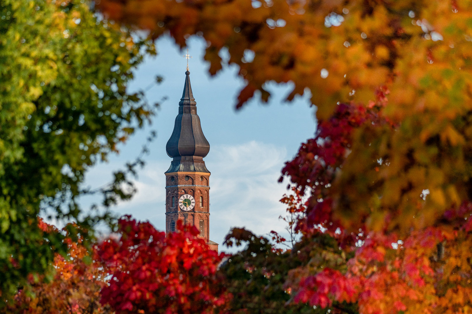 Herbstlicher Durchblick 