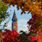 Herbstlicher Durchblick 