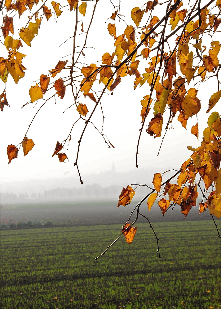 Herbstlicher Durchblick