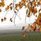 Herbstlicher Durchblick