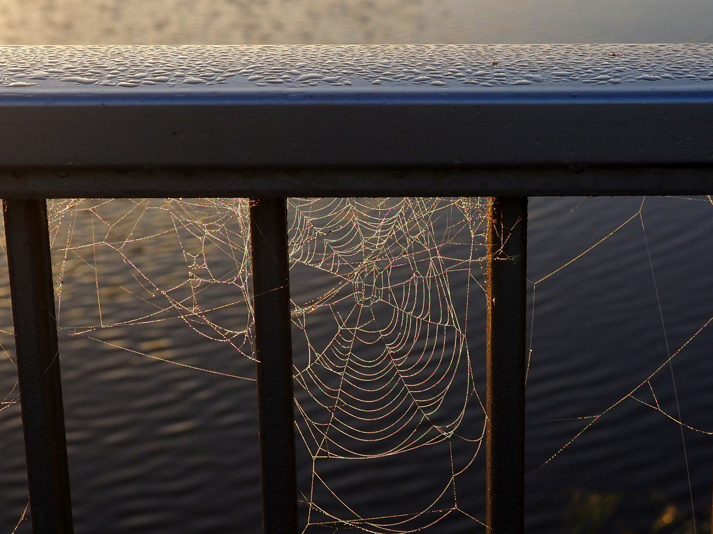 herbstlicher Durchblick