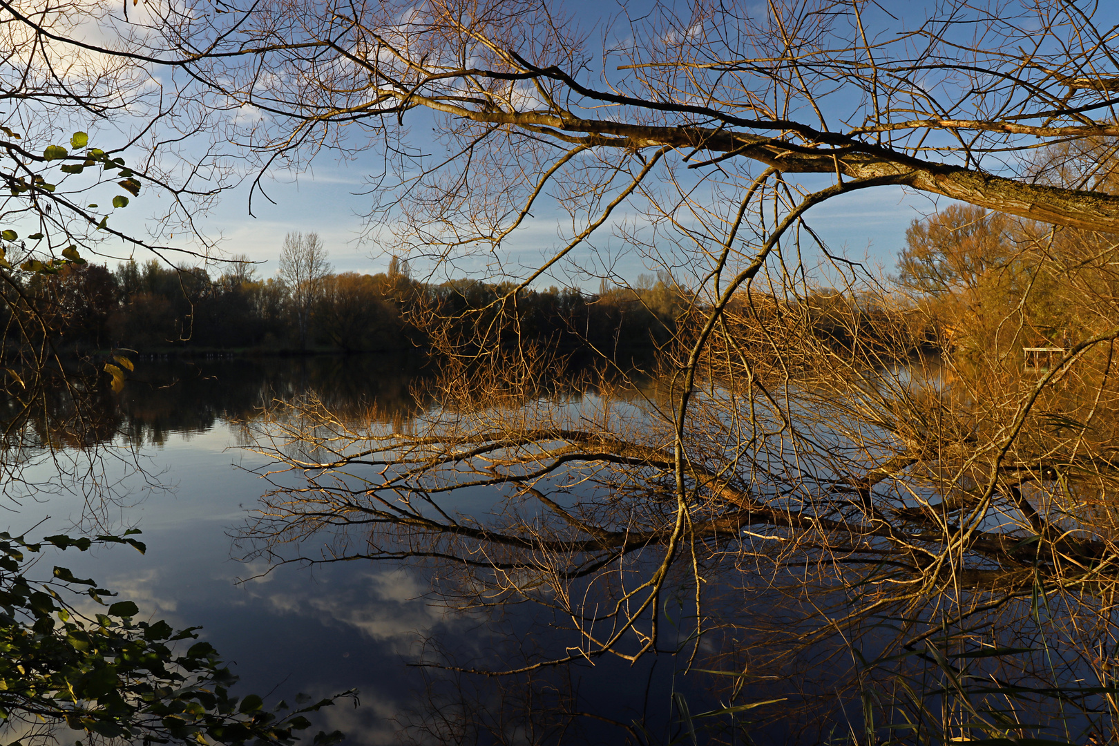 Herbstlicher Durchblick