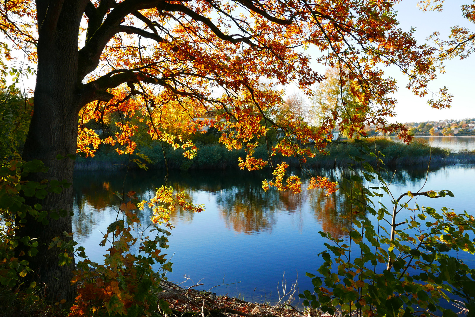 Herbstlicher Durchblick