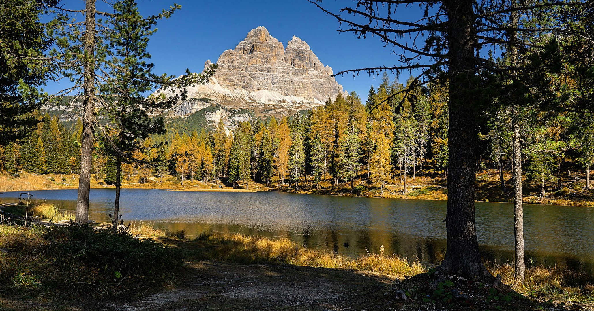 Herbstlicher Durchblick