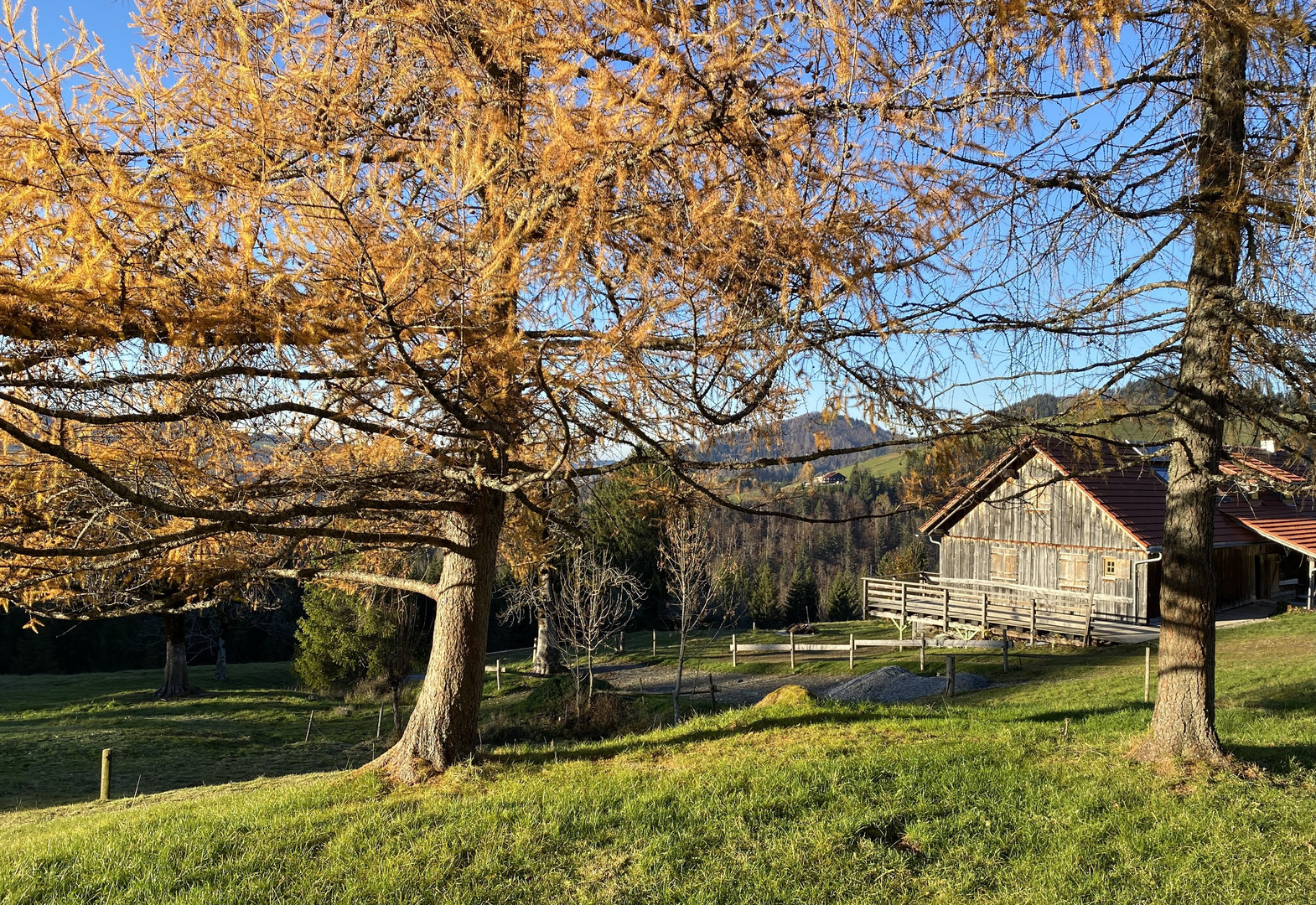 Herbstlicher Durchblick