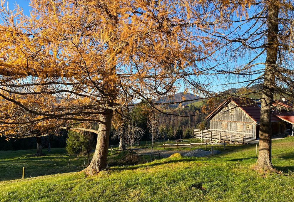 Herbstlicher Durchblick